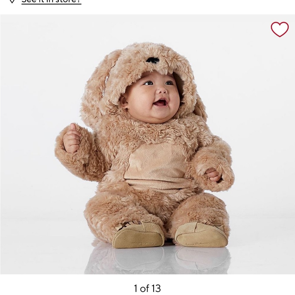 Pottery barn puppy costume 6-12m